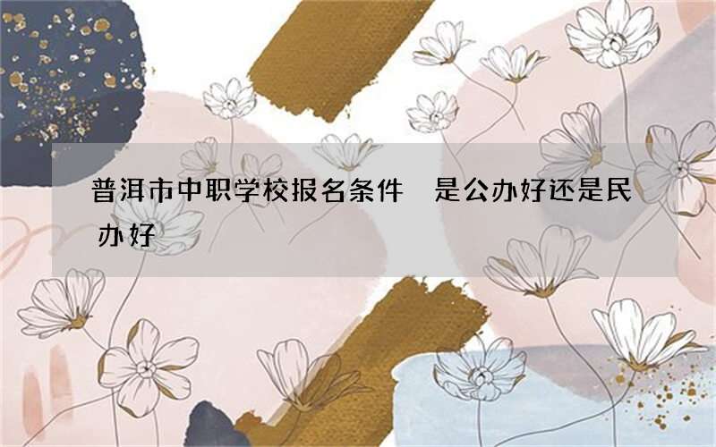 普洱市中职学校报名条件 是公办好还是民办好